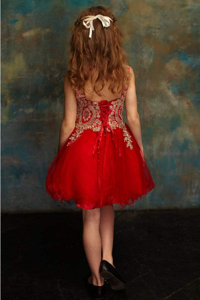 Embroidered Tulle Party Dress for Holidays Birthdays & Special Occasions by Bella Princess C3057
