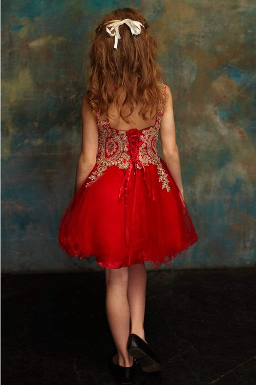 Embroidered Tulle Party Dress for Holidays Birthdays & Special Occasions by Bella Princess C3057