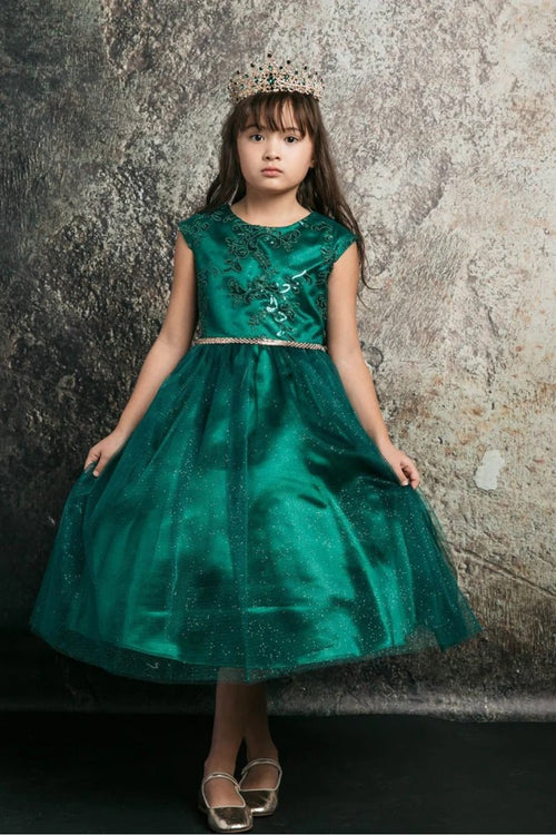 Embroidered Flower Dress with Tulle Skirt  Cap Sleeve Sparkle by Bella Princess 299