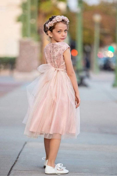 Embroidered Flower Dress with Tulle Skirt  Cap Sleeve Sparkle by Bella Princess 299