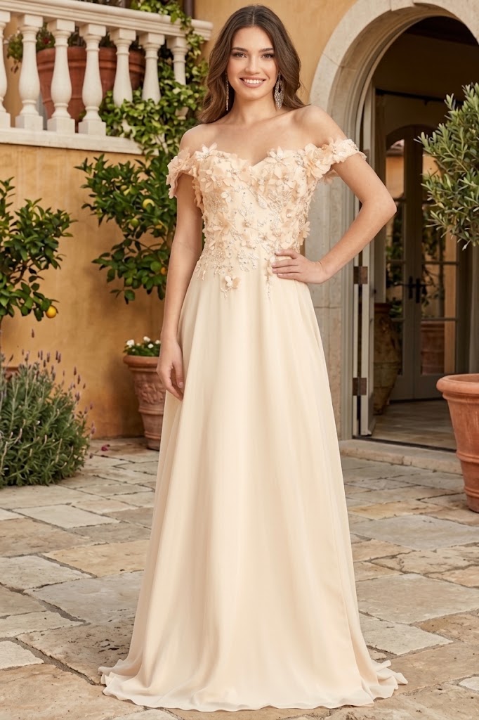Off Shoulder Floral Chiffon Gown by Elizabeth K GL3018