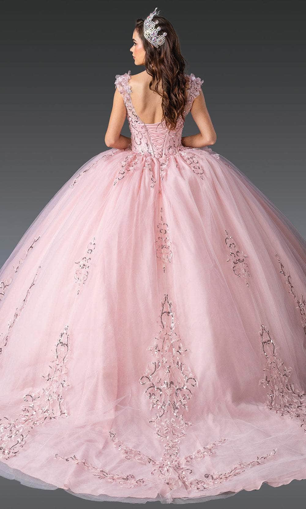 Dancing Queen 1925 - Cap Sleeve Floral Embroidered Ballgown Quinceanera Dresses XS / Blush
