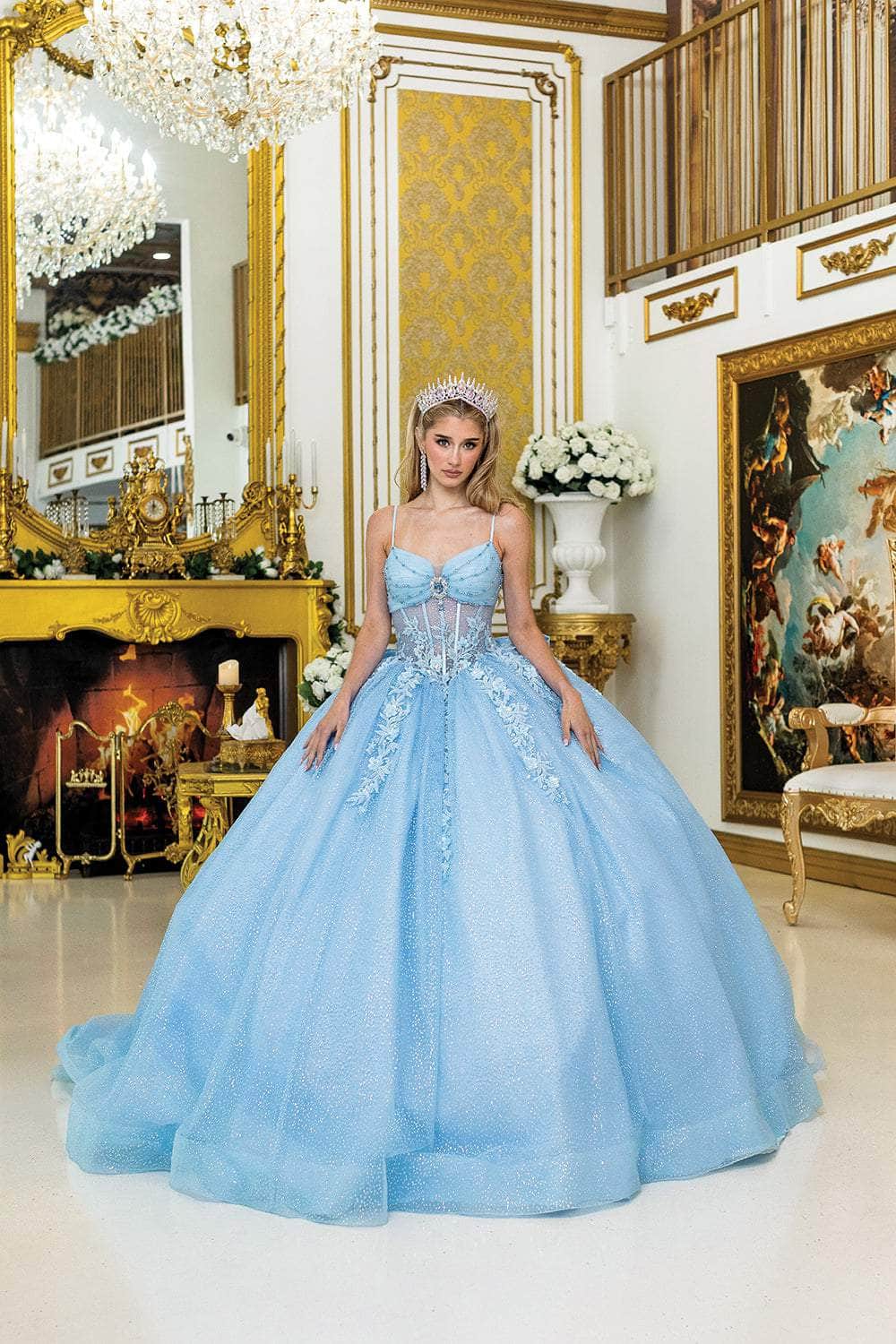 Dancing Queen 1958 – Glitter Tulle Ballgown with Sheer Corset Bodice and Floral Lace Appliqué