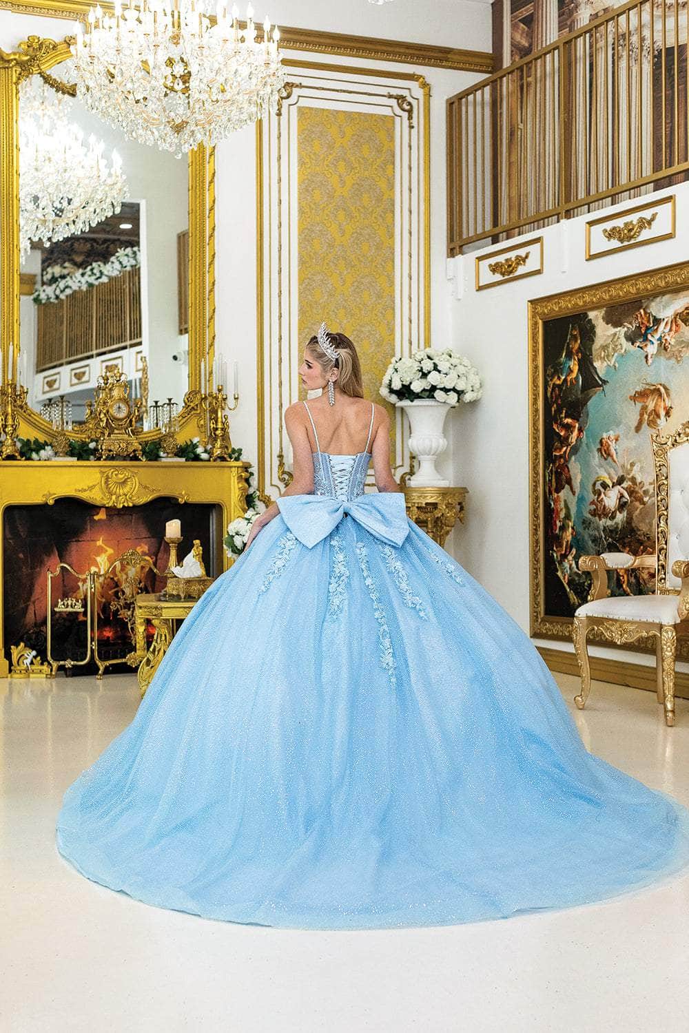 Dancing Queen 1958 – Glitter Tulle Ballgown with Sheer Corset Bodice and Floral Lace Appliqué