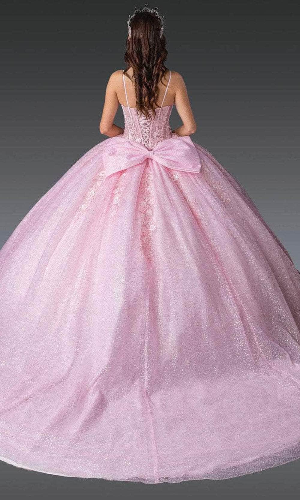 Dancing Queen 1958 – Glitter Tulle Ballgown with Sheer Corset Bodice and Floral Lace Appliqué