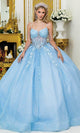 Dancing Queen 1958 – Glitter Tulle Ballgown with Sheer Corset Bodice and Floral Lace Appliqué