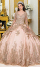 Dancing Queen 1968 - Embroidered Illusion Long Sleeve Ballgown Quinceanera Dresses XS / Rose Gold
