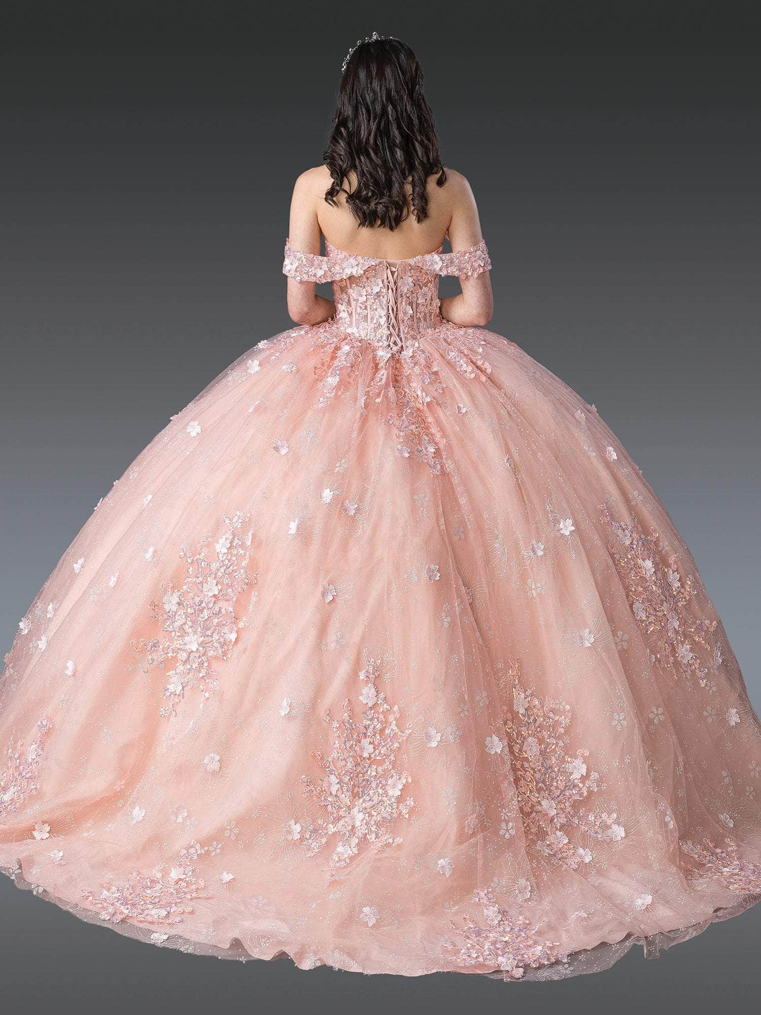 Dancing Queen 1971 - Floral Applique Glitter Tulle Ballgown Quinceanera Dresses XS / Blush