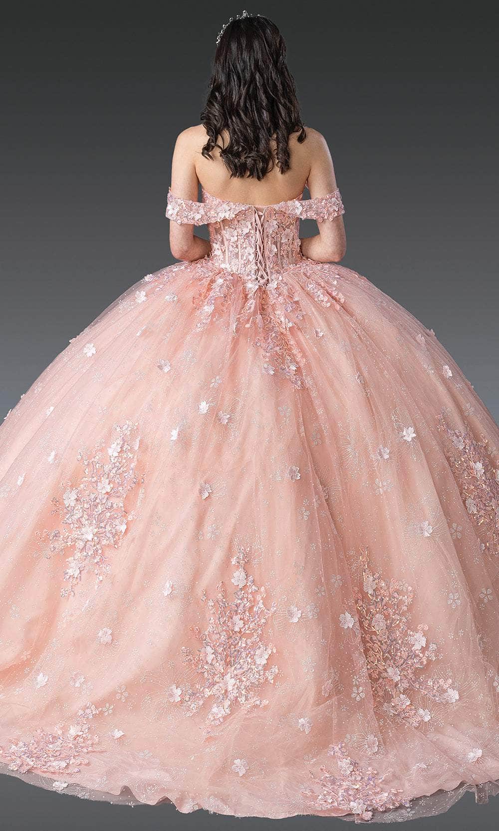 Dancing Queen 1971 - Floral Applique Glitter Tulle Ballgown Quinceanera Dresses XS / Blush
