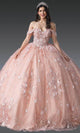 Dancing Queen 1971 - Floral Applique Glitter Tulle Ballgown Quinceanera Dresses XS / Blush
