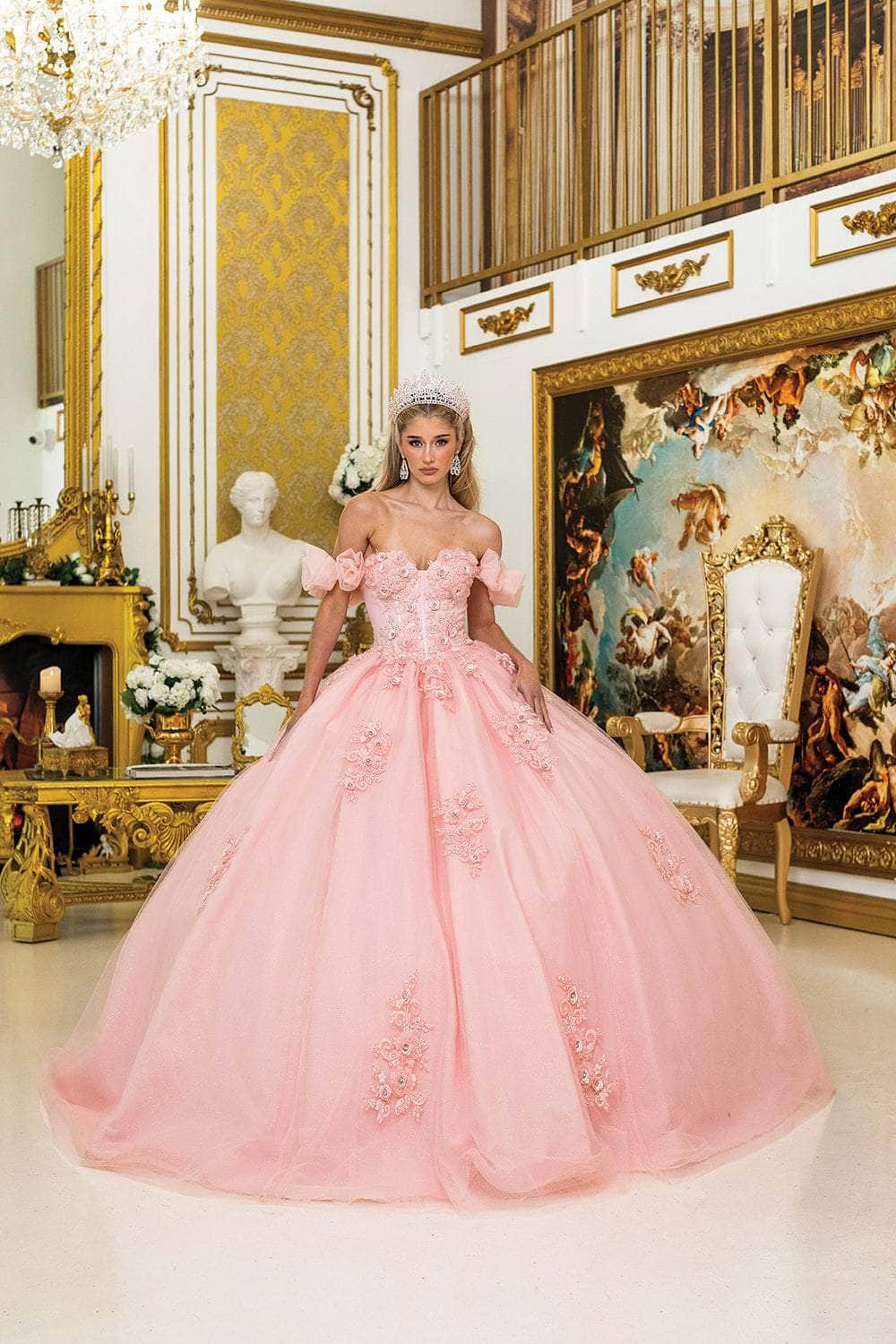 Dancing Queen 1976 - Floral Embroidered Puff Sleeve Ballgown Ball Gowns XS / Blush