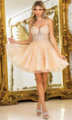 Dancing Queen 3404 – Appliqued Illusion Corset A-Line Mini Dress