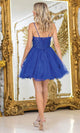 Dancing Queen 3411 – Beaded Lace Applique Glitter Tulle Mini Dress