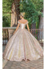 Dancing Queen Dresses DQ-1559 Quinceañera Gown with Voluminous Skirt - Dress