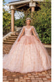 Dancing Queen Dresses DQ-1702 Quinceañera Stunning Quince Dress - Rose gold / XS - Dress