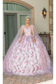 Dancing Queen Dresses DQ-1715 Quinceañera for a Captivating Celebration - Blush Flower / S - Dress