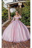 Dancing Queen Dresses DQ-1824 Quinceanera Gown for a Radiant Look - Blush / XS - Dress