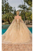 Dancing Queen Dresses DQ-1830 Quinceanera Gown for Elegant Moments - Dress