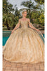 Dancing Queen Dresses DQ-1830 Quinceanera Gown for Elegant Moments - Gold / XS - Dress