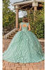 Dancing Queen Dresses DQ-1831 Quinceanera Gown for Timeless Beauty - Dress