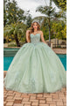 Dancing Queen Dresses DQ-1893 Sparkling Quinceañera Ball Gown - Sage / XS - Dress