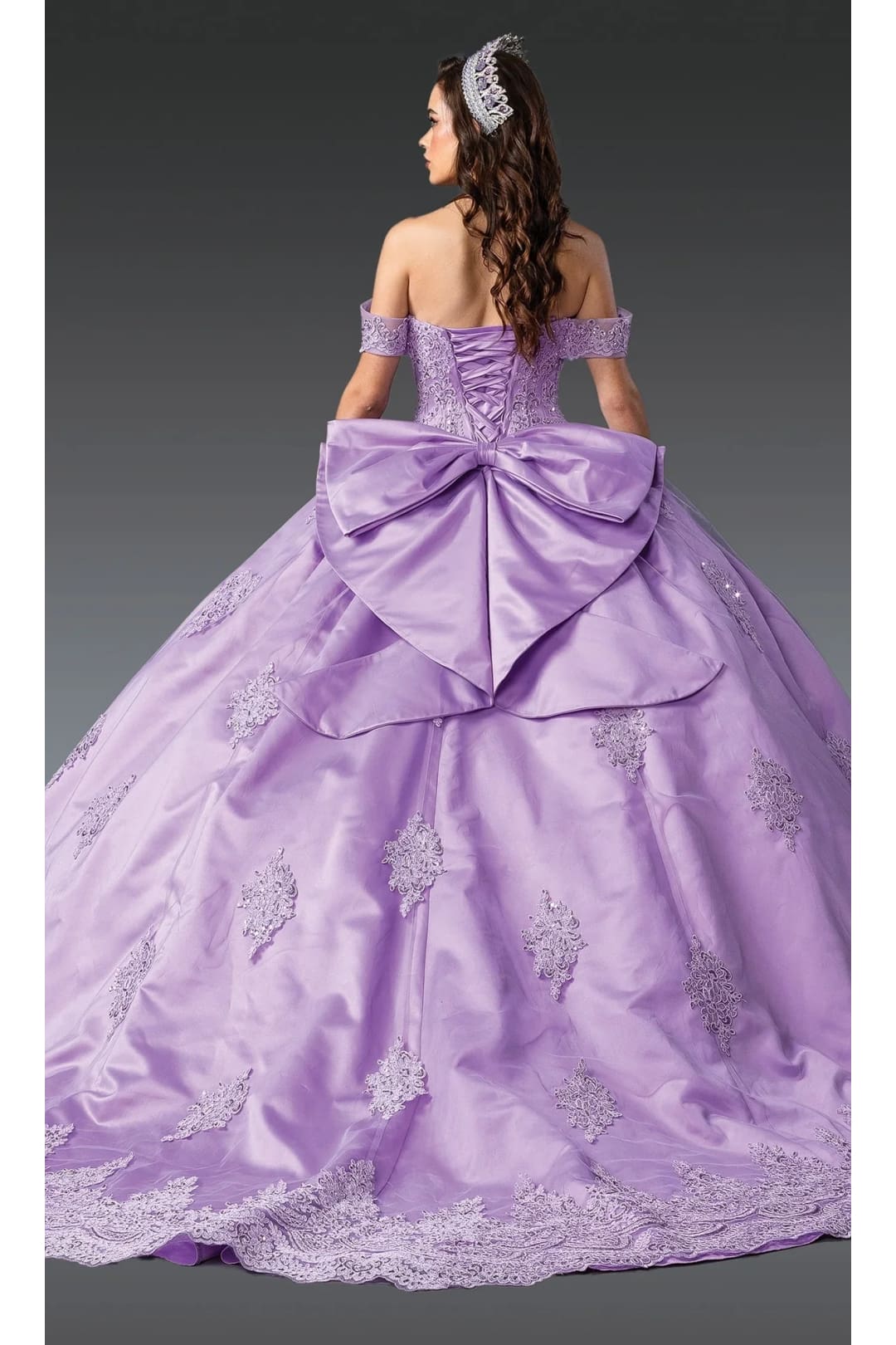 Dancing Queen Dresses DQ-1913 Quinceanera Elegant and Timeless Gown - Dress