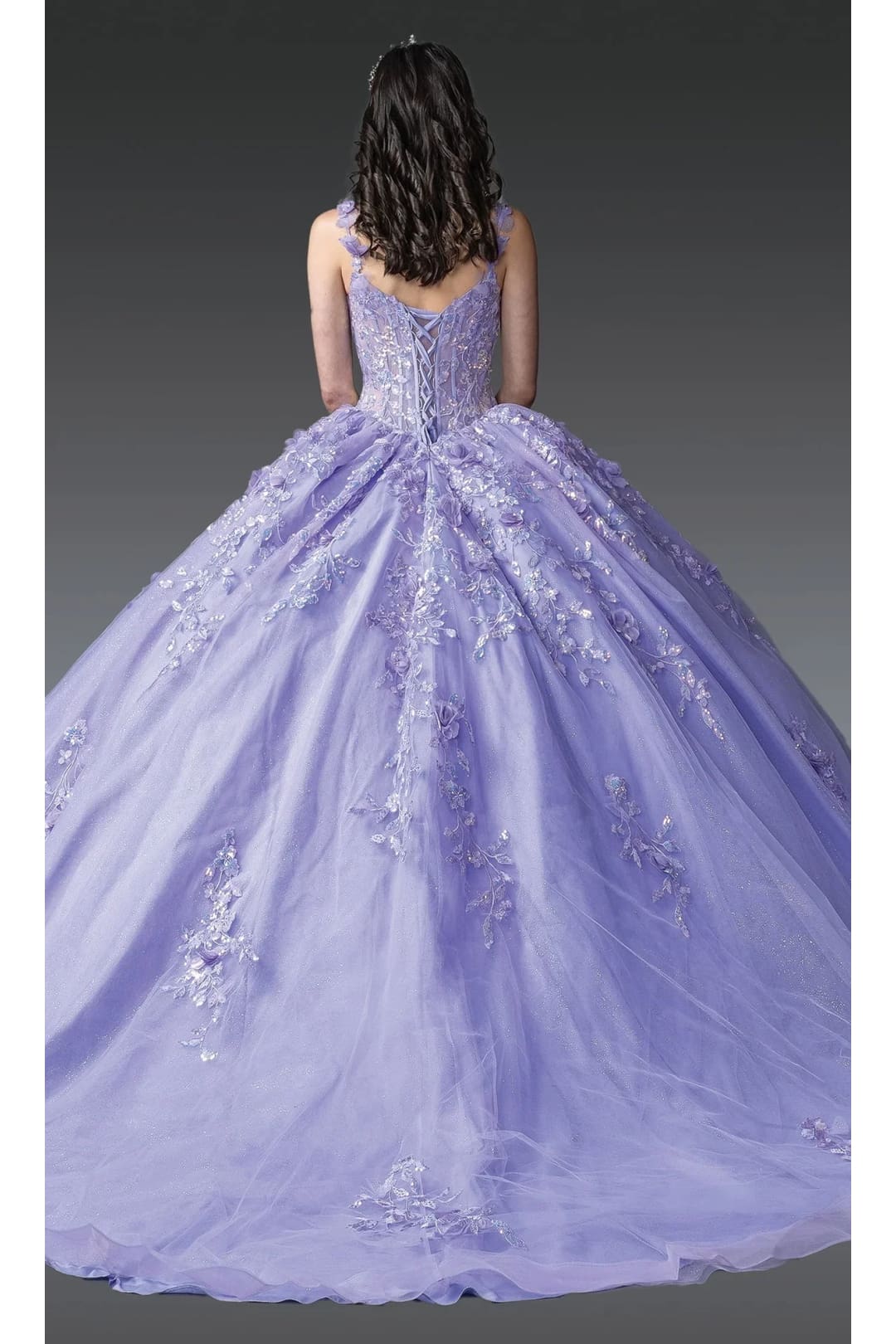Dancing Queen Dresses DQ-1948 Quinceañera Gown Unveil Timeless Elegance - Dress