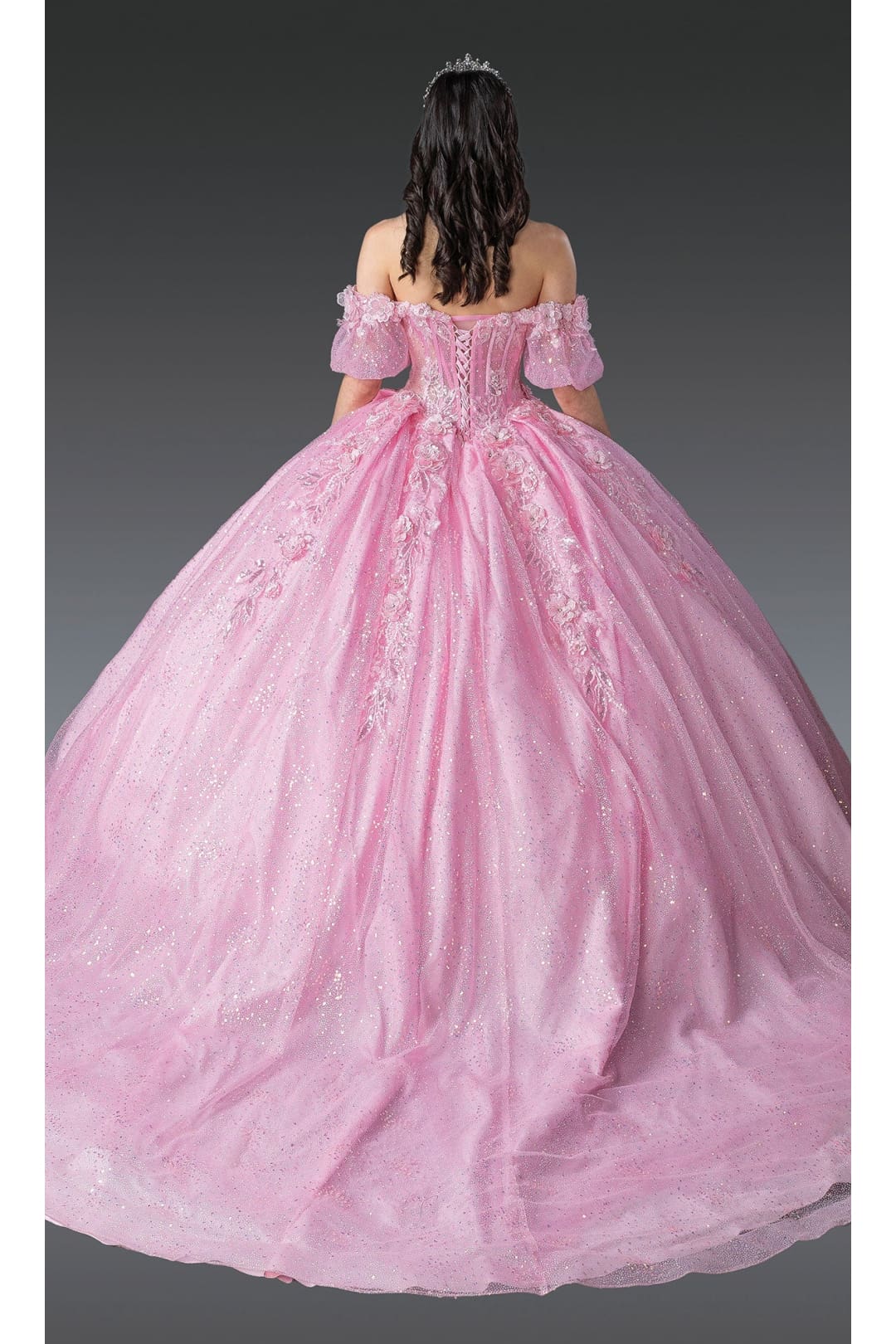 Dancing Queen Dresses DQ-1991 Gorgeous Quinceañera Princess Dress - Dress