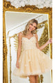 Dancing Queen Dresses DQ-3369 Lace-Up Short Butterfly Homecoming Dress - Dress