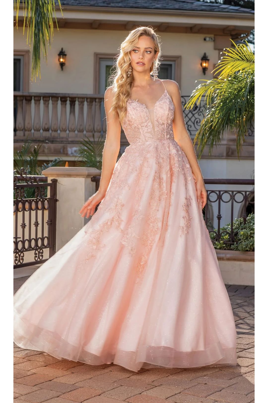 Dancing Queen Dresses DQ-4231 Floral-Embroidered Long A-Line Prom Dress - Blush / XS - Dress