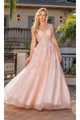 Dancing Queen Dresses DQ-4231 Floral-Embroidered Long A-Line Prom Dress - Blush / XS - Dress