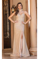 Dancing Queen Dresses DQ-4351 Long Shimmer Formal Dress with Corset - Champagne / XS - Dress