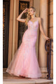 Dancing Queen Dresses DQ-4353 Backless Sheer-Corset Long Mermaid Prom - Blush / XS - Dress