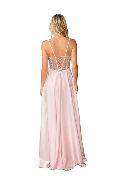 Dancing Queen Dresses DQ-4463 Long Blush Pink Prom Dress - Dress