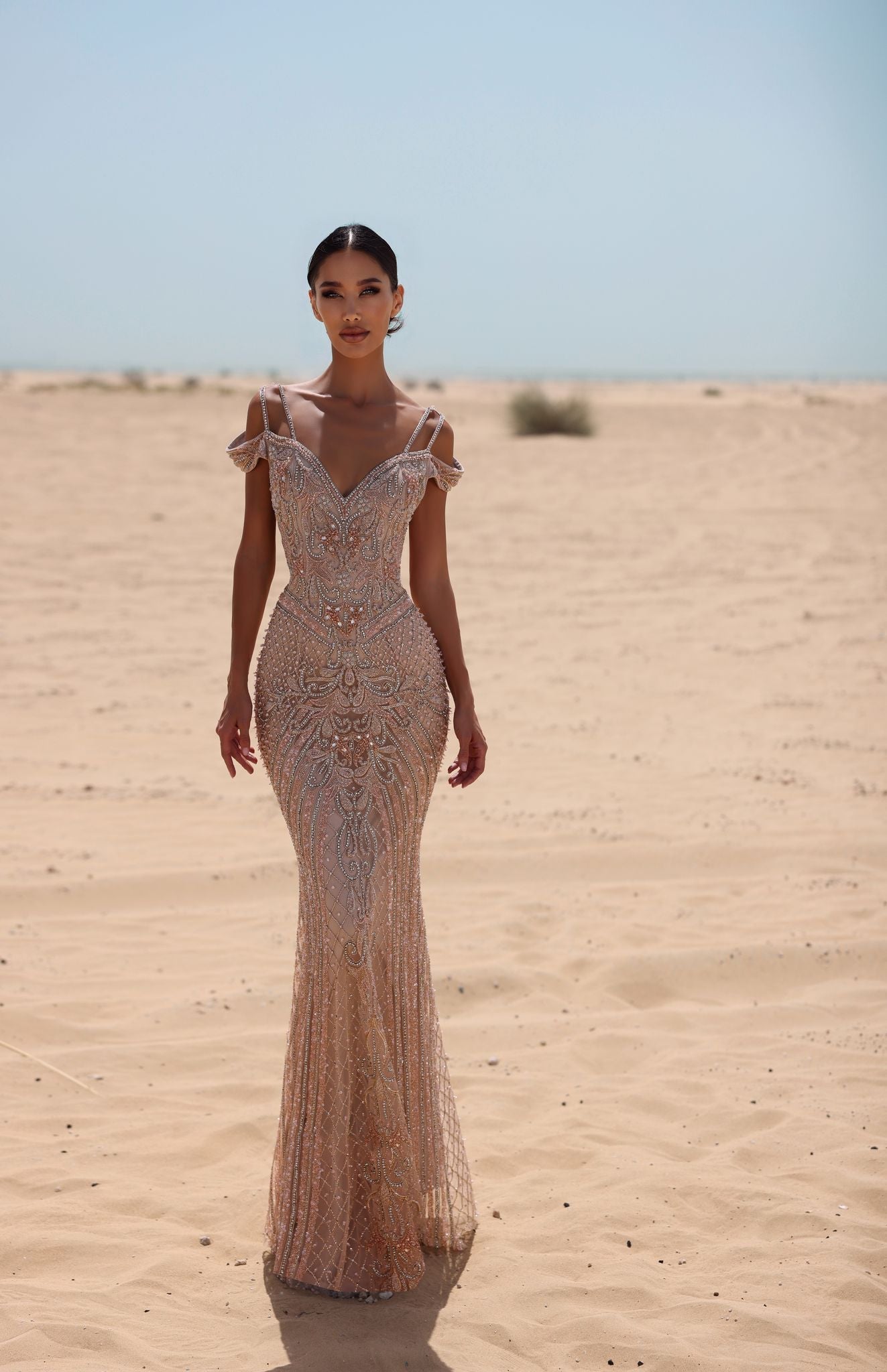 Chic and Holland BLUSH Dress