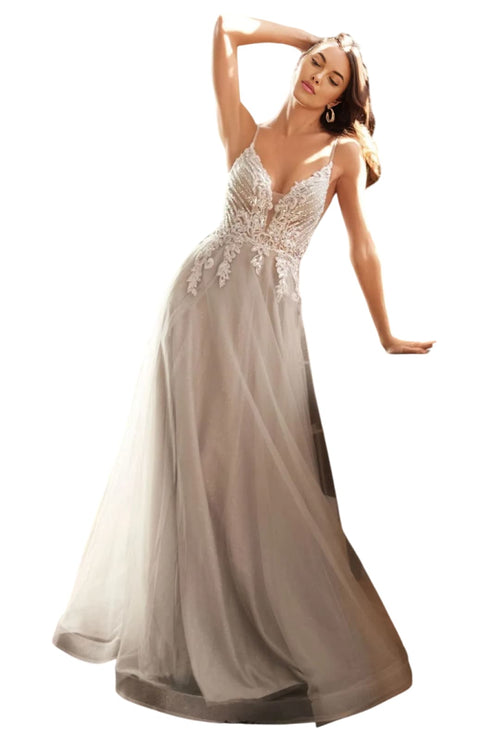 Embellished A-Line Pageant Gown 2025 Formal Evening Dress - SILVER / 6 - Dress