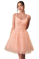 Embroidered A-Line Cocktail Dress 2025 Elegant Evening Gown - Blush / XXS - Prom
