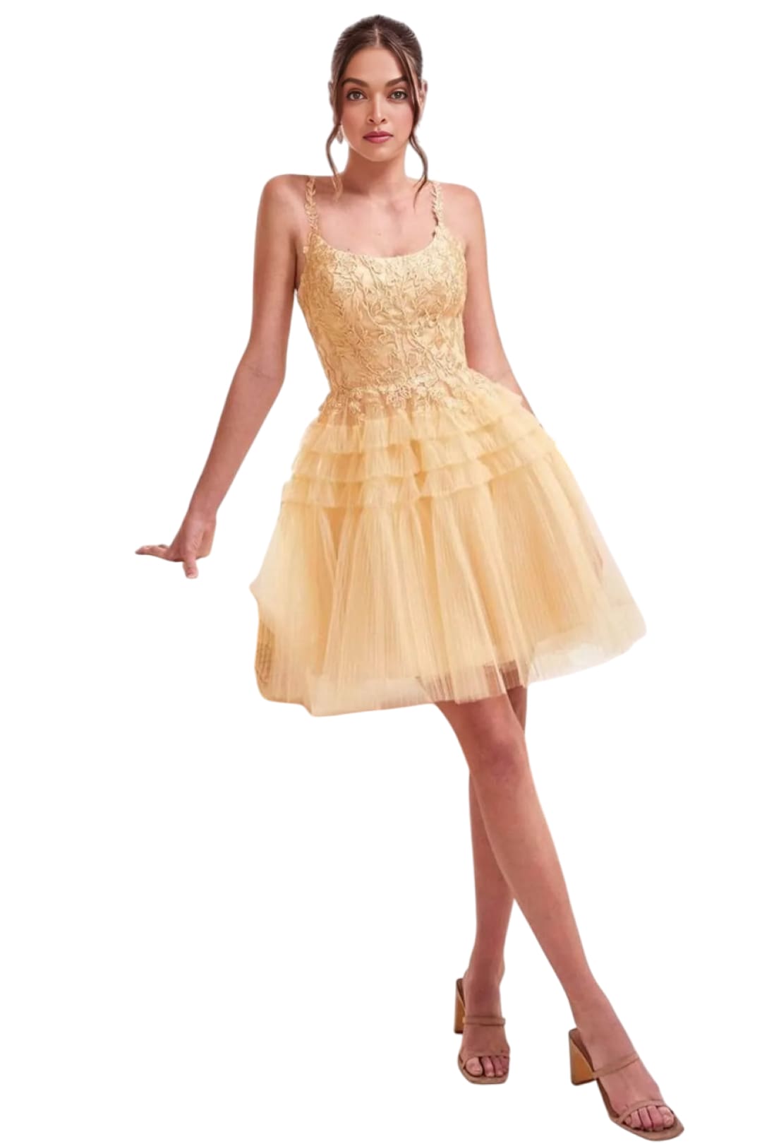 Embroidered A-Line Cocktail Dress 2025 Elegant Evening Gown - Champagne Gold / XXS - Prom