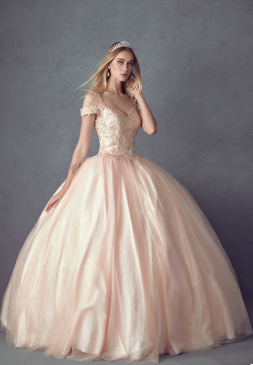 Juliet 1430 Cold Shoulder Embroidered Tulle Quinceanera Dress with Corset Back