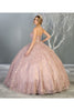 Embroidered Foliage Quinceanera Ball Gown