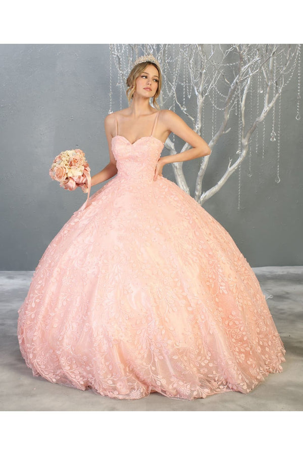 Embroidered Foliage Quinceanera Ball Gown