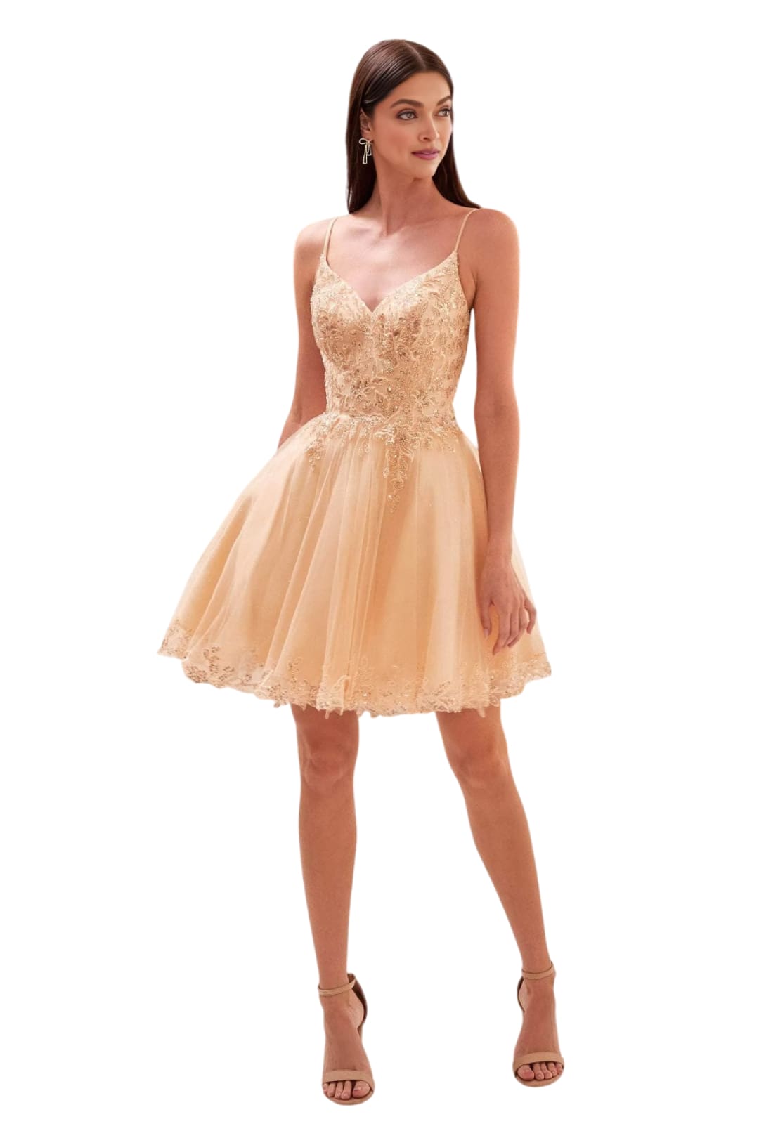 Embroidered Sleeveless Cocktail Dress 2025 Elegant Party Dress - Champagne / L - Prom