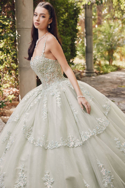 Juliet 1450J Embroidered Beaded Appliqué Glitter Tulle Corset Quinceanera Dress