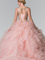 Embroidered Sleeveless Ruffled Ballgown by Elizabeth K GL2208