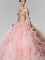 Embroidered Sleeveless Ruffled Ballgown by Elizabeth K GL2208