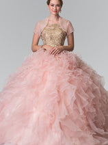 Embroidered Sleeveless Ruffled Ballgown by Elizabeth K GL2208