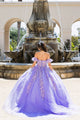 Embroidered Sweetheart Ball Gown by Bella Princess PQ1026