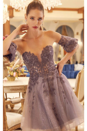 Embroidered Sweetheart Tulle Dress by Juliet 909