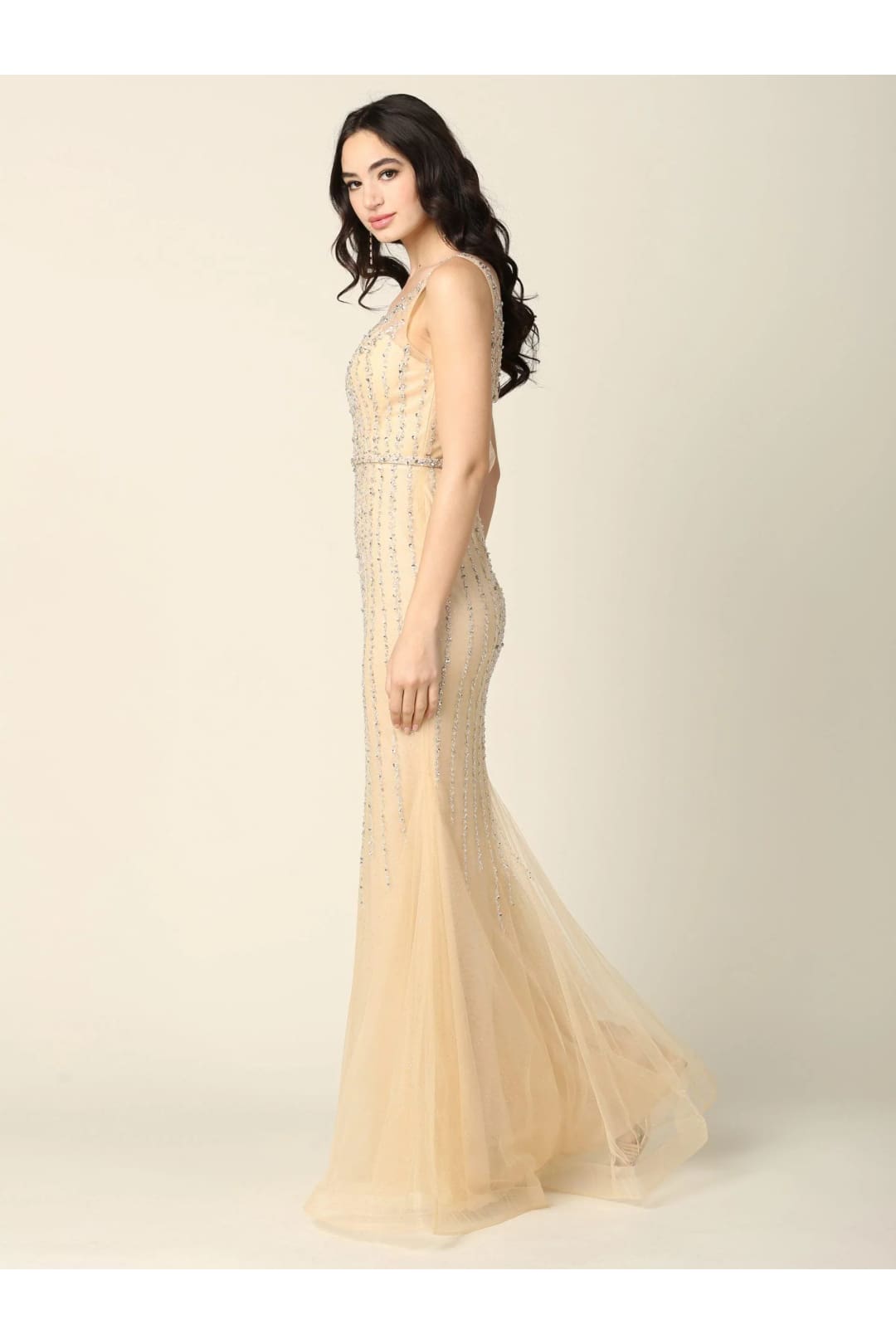 Eva USA 5231 Long Formal Sleeveless Fitted Prom Gown - Prom Long Dress