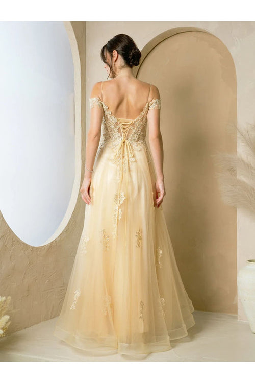 Eva USA 5270 Long A-Line Formal Prom Dress